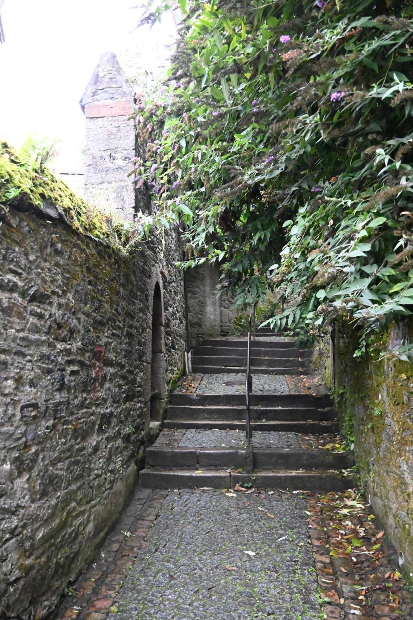 Appartement Jardin Madeleine à Morlaix Extérieur photo