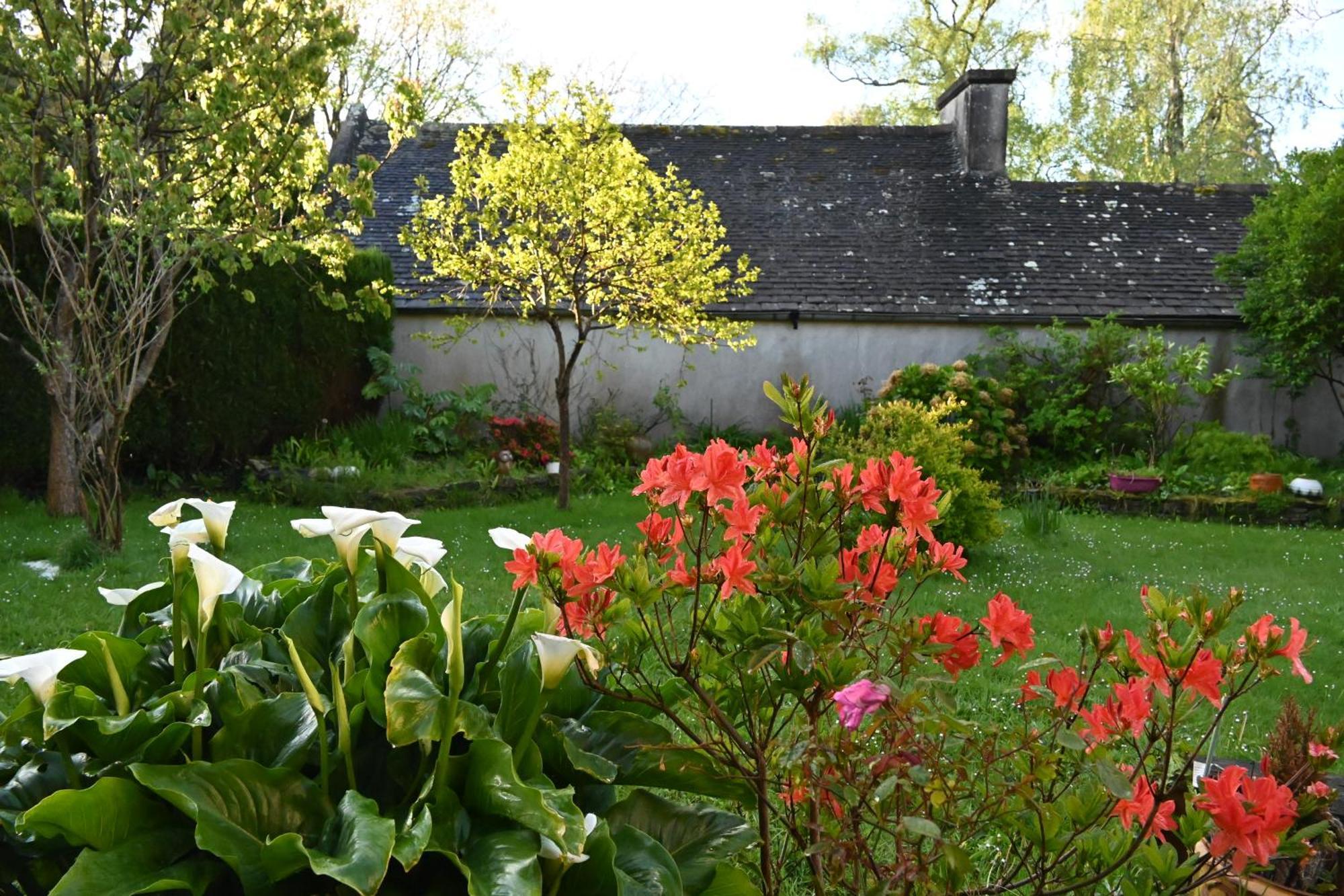 Appartement Jardin Madeleine à Morlaix Extérieur photo