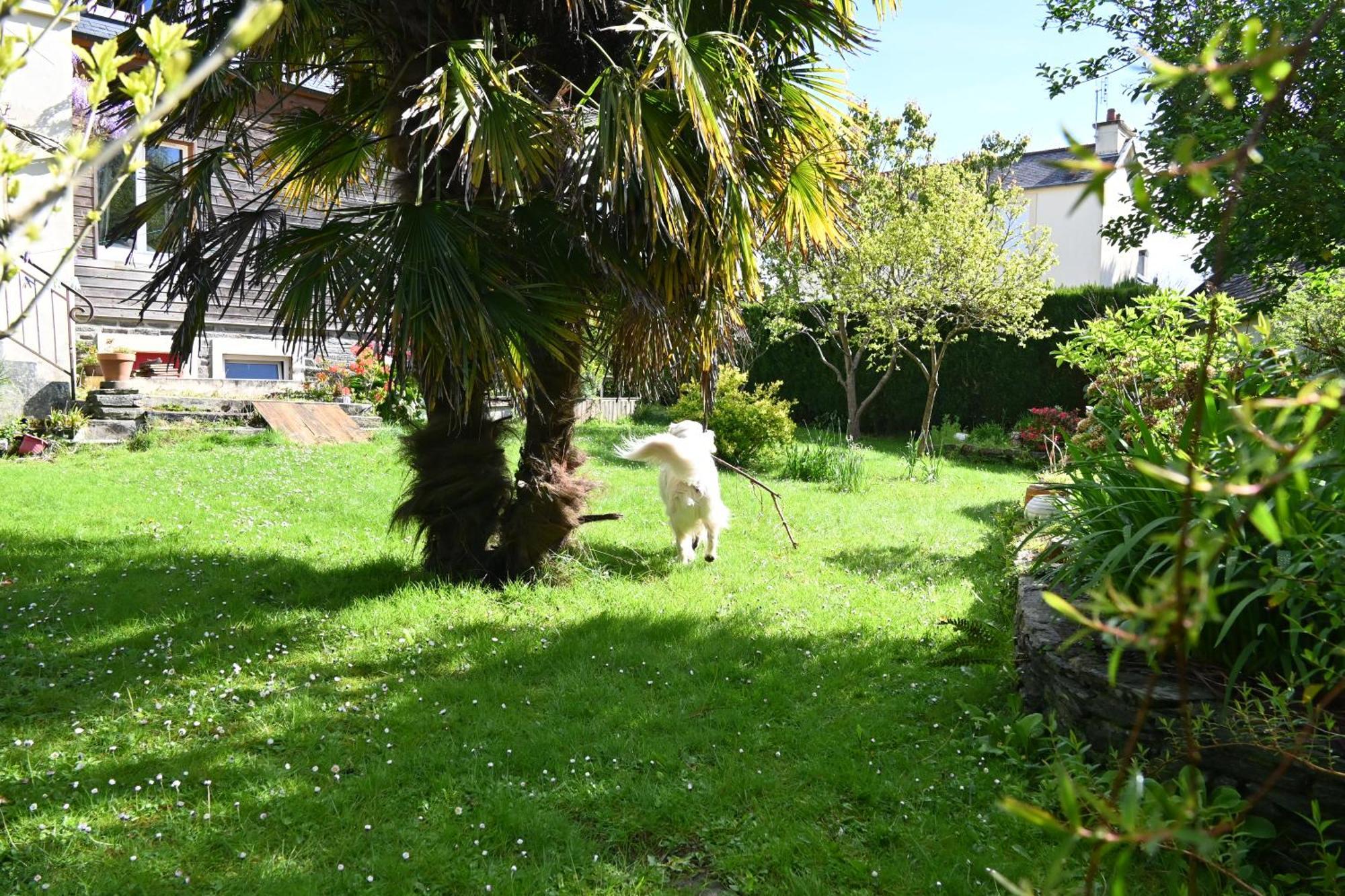 Appartement Jardin Madeleine à Morlaix Extérieur photo